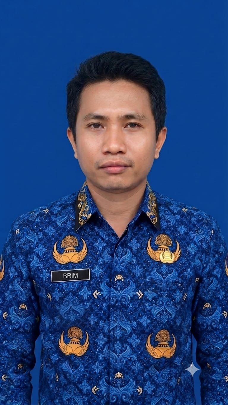 BRIMNOVIOGA, S.Kom
